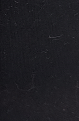 Posh Paisley - Image 2